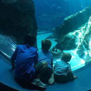 Meet your Posher, Pamela